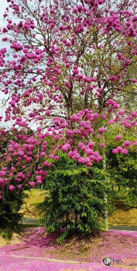 Piccola Pousada Águas de São Pedro Exteriör bild